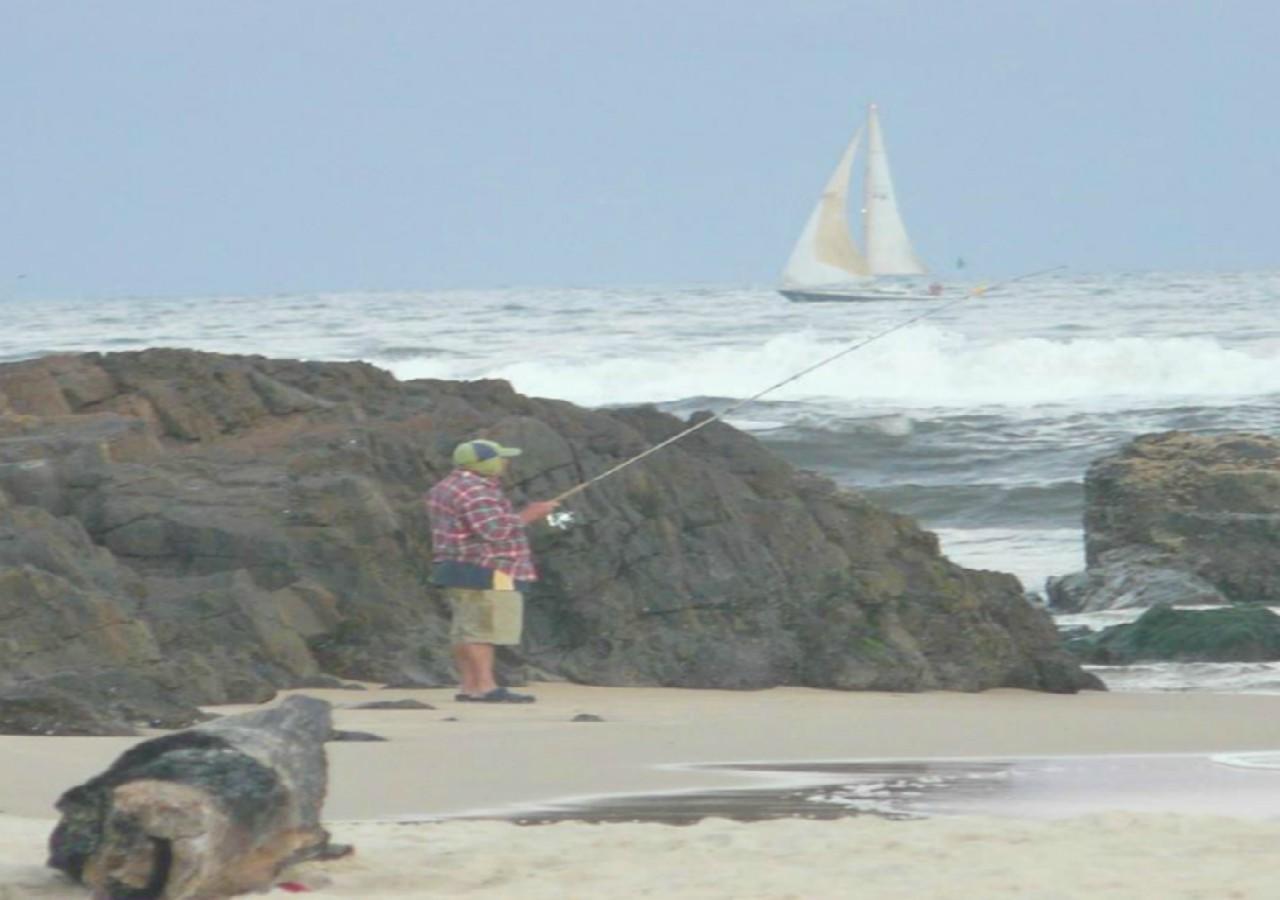 Tuross Beach Cabins & Campsites 图洛斯海德 外观 照片
